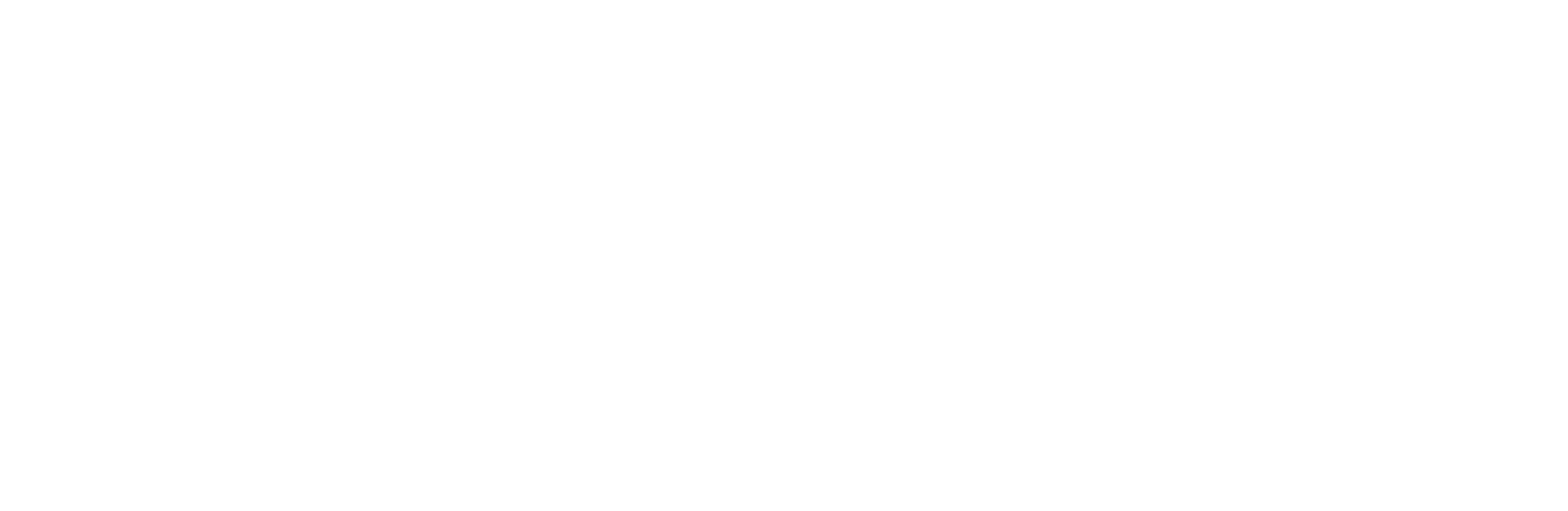 Flyger Academy